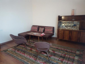 Spacious one bedroom apartment in the city centre
